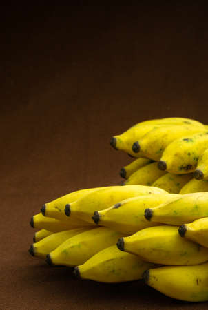 Two bunches of banana fruit with lot of micro nutrients kept on a matte background ready to eatの写真素材