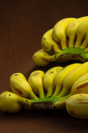 Two bunches of banana fruit with lot of micro nutrients kept on a matte background ready to eatの写真素材