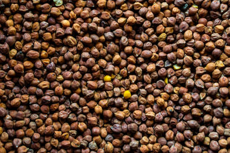 Bengal gram spread out and filled in full frame