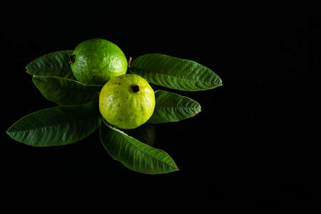 Fresh vitamin-rich Guava fruit and its leaves on a black backgroundの写真素材