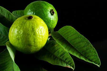 Fresh vitamin-rich Guava fruit and its leaves on a black backgroundの写真素材
