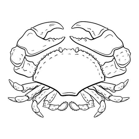 crab coloring page. Hand-drawn zodiac cancer . Horoscope symbol for your use. For tattoo art, coloring book. Coloring page for relax, antistress, vector illustrationのイラスト素材