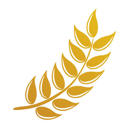 vector design and elements of wheat grain, wheat ears, wheat seed, or wheat rye, prosperity symbolのイラスト素材