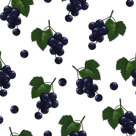 Natural delicious juicy organic berries seamless pattern with blackcurrants, vector color...