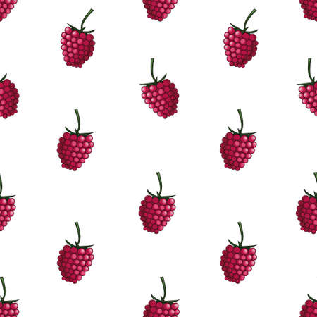 Natural delicious juicy organic berries seamless pattern with raspberries, vector color illustration on white background, isolatedのイラスト素材