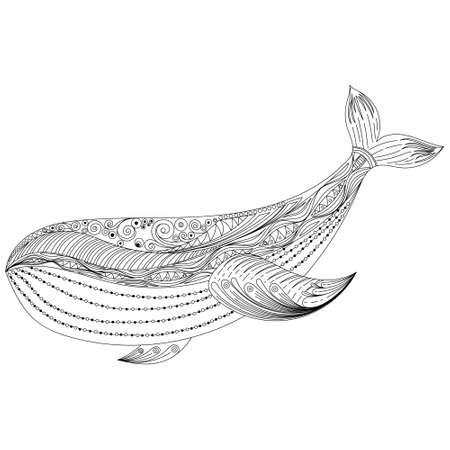 vector Whale for adult anti stress coloring pages. Ornamental tribal patterned illustration for tattoo, poster or print. Hand drawn monochrome sketch. Sea animal collectionのイラスト素材