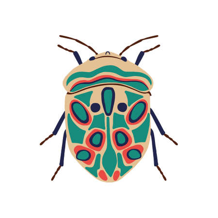 vector illustration, color picasso beetle, a beautiful beetle with an ornament