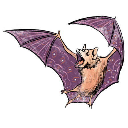 bat illustration on a white background, a beautiful mouse with a pattern on the wings. drawing for...