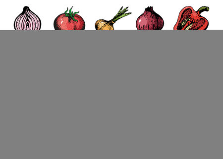set of vegetables drawing sketch color, vector.のイラスト素材