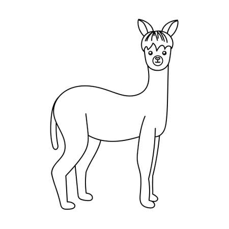 Alpaca outline vector icon. Thin line black alpaca icon, isolated on white backgroundのイラスト素材