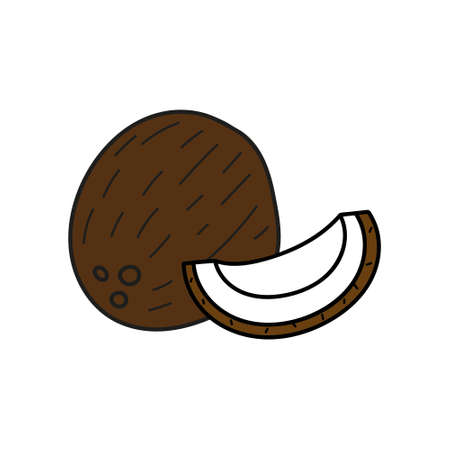 coconut isolated on white background. vector illustration of colorful half and whole of juicy coconut. Fresh cartoon.のイラスト素材