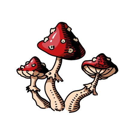 Fly agaric or amanita mushrooms group, vector doodle black ink drawingのイラスト素材