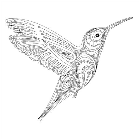 hummingbirds doodle. stylized hummingbirds zentangle, ornament. coloring book page for adult. Vector illustration. Hand drawn artworkのイラスト素材