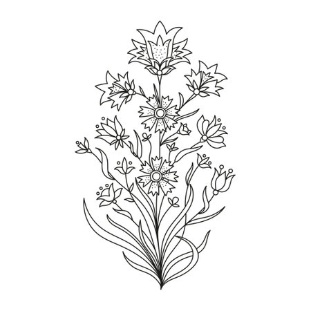Hand drawn herbal flowers isolated on white background vector illustrationのイラスト素材