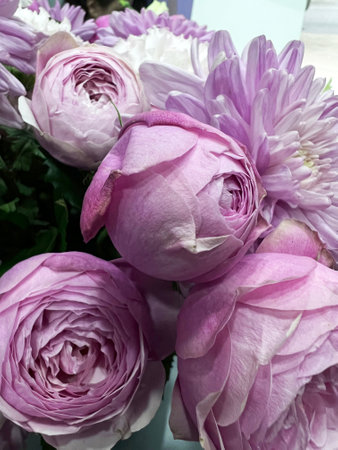 pink peony-shaped rose in a bouquet close-up