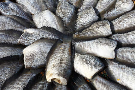dry fish - Osphronemidae