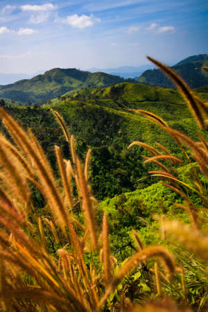 mountain peak - grass foregroundの写真素材