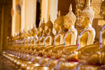 Golden Buddha statues perspectiveの写真素材