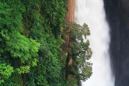 Big waterfall in rainforest