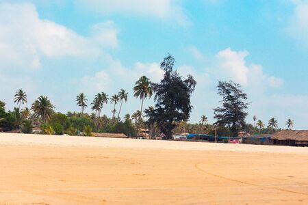 Tropical sandy beach of Arambola, Goa, India. The coastline of the ocean, the Arabian Sea. Active trip in the open air to paradise resorts.の写真素材