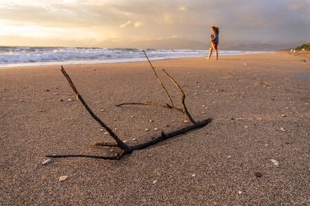 Beach with flotsam on Corfu / Greece at Kassiopi in the sunsetの写真素材