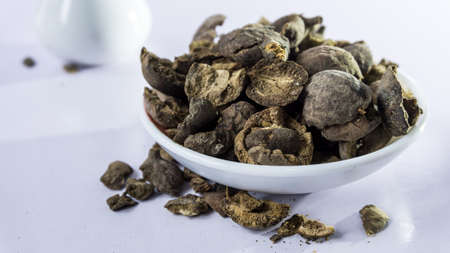 Baheda/ Medicinal Bahera & Haritaki fruit on white background/Bibhitaki, Bhedaa, bulu