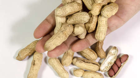 Pile of dry roasted bean on hand Top view