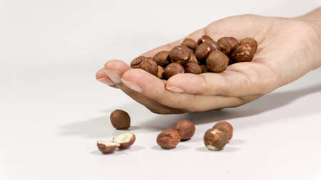 Pile of hazelnut Brazil nuts on hand isolated on a white