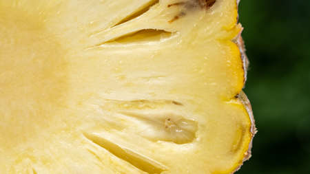 Closeup Pineapple with slices isolated on green blurred background.Fruits or healthcare concept.