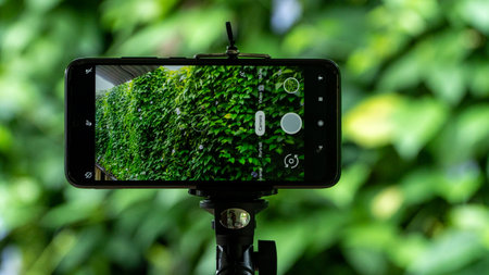 Smartphone with green plant growing on a tripod in the park.の写真素材
