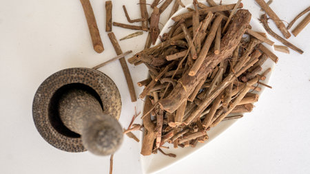 Indian madder, Heart leaved madder-Ayurvedic medicine/ Scientific name "Rubia cordifolia"の写真素材