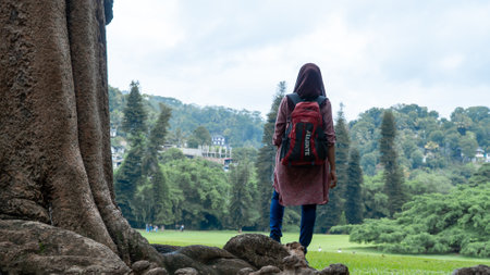 Back view of young woman with backpack standing on the rock and looking at the parkの写真素材