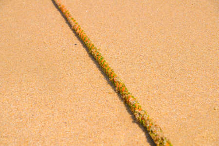 Rope on the sand.