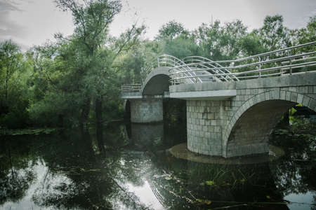 Small bridge leading to forestの写真素材