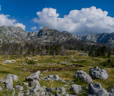 Rocky field and mountainsの写真素材