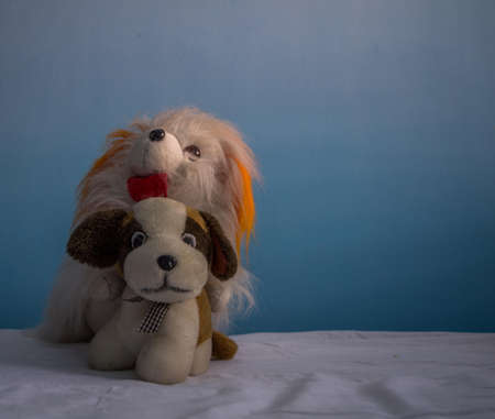 Two stuffed dogs togetherの写真素材