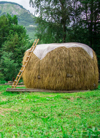 Bales of hayの写真素材
