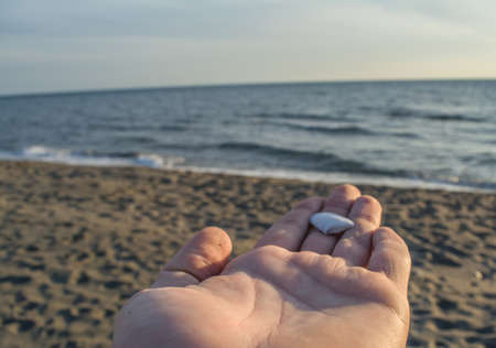 Shell on the hand;の写真素材