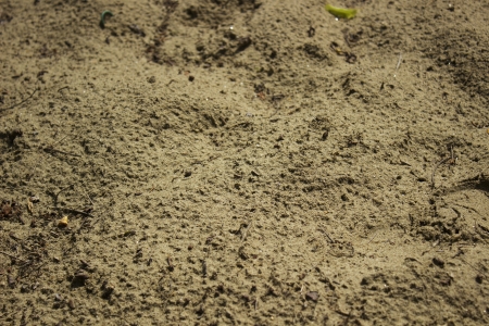 dirty sandの写真素材