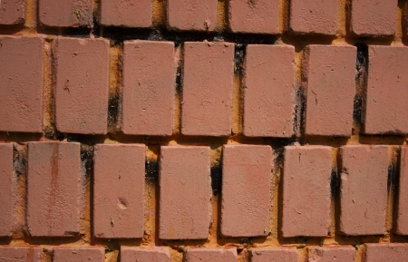 red bricksの写真素材