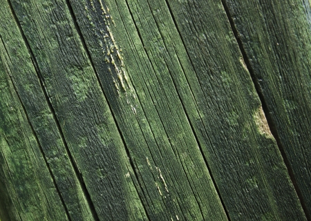wooden backgroundの写真素材