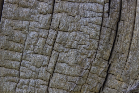 crust textureの写真素材