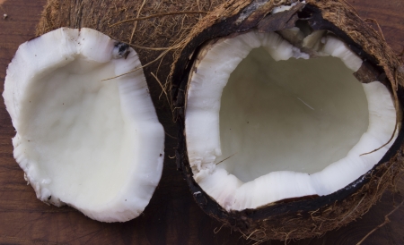 coconutの写真素材
