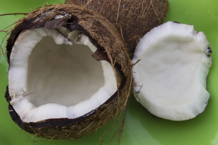 coconutの写真素材