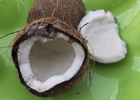 coconutの写真素材