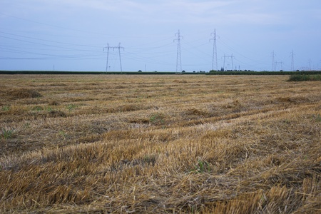 after harvestの写真素材