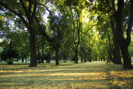 park