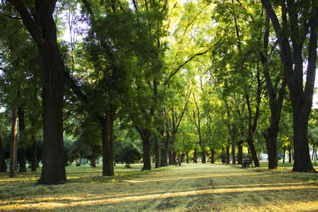 parkの写真素材