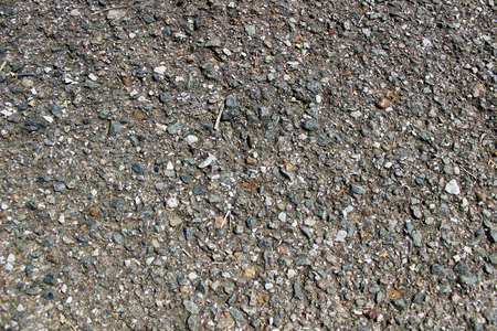 MOSS CONCRETE の写真素材