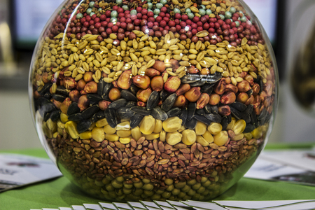 agricultural seeds in the jarの写真素材